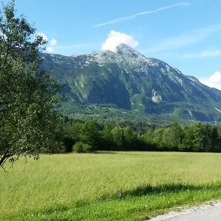 Apartmaji Stari Kovac Appartamento