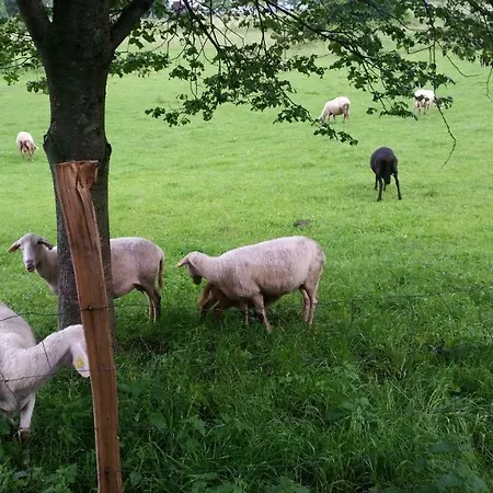 דירה Apartmaji Stari Kovac