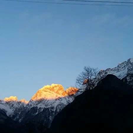 Apartmaji Stari Kovac *