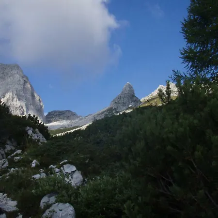 Apartmaji Stari Kovac