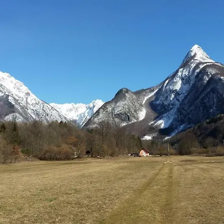 Apartmaji Stari Kovac *