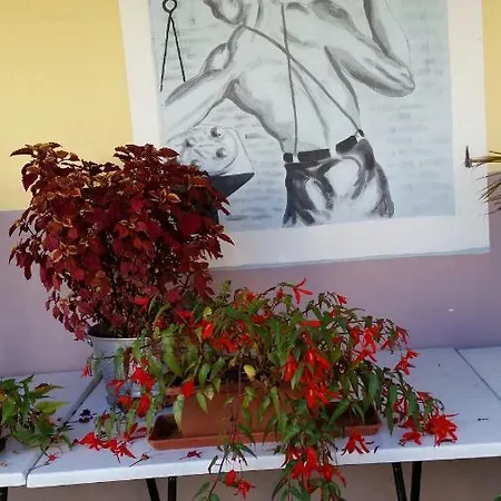 Apartmaji Stari Kovac Appartamento *