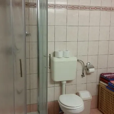 Apartmaji Stari Kovac *