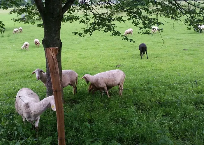 Lägenhet Apartmaji Stari Kovac