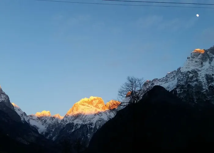 Apartmaji Stari Kovac *