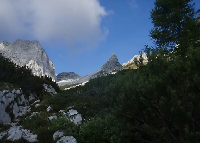 Apartmaji Stari Kovac