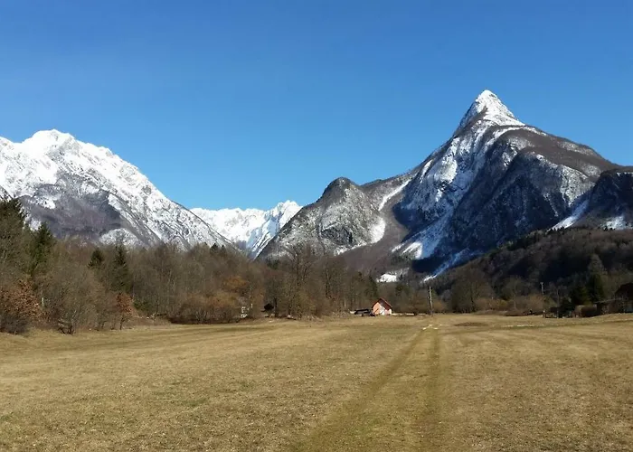 Apartmaji Stari Kovac *