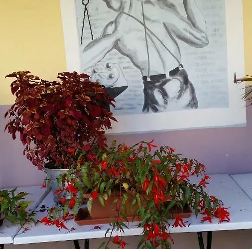 Apartmaji Stari Kovac Apartment *