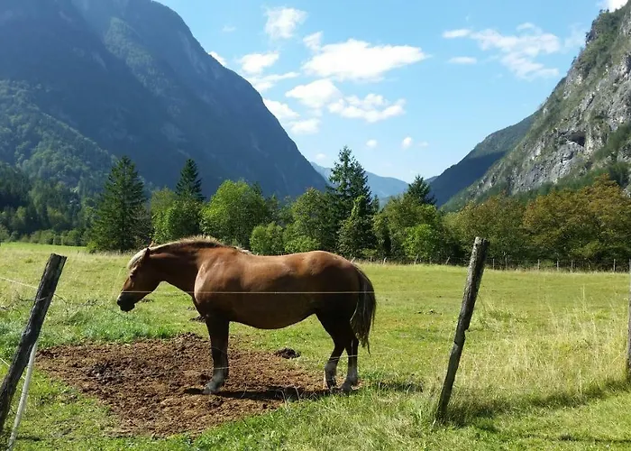 Apartmaji Stari Kovac Apartment Bovec